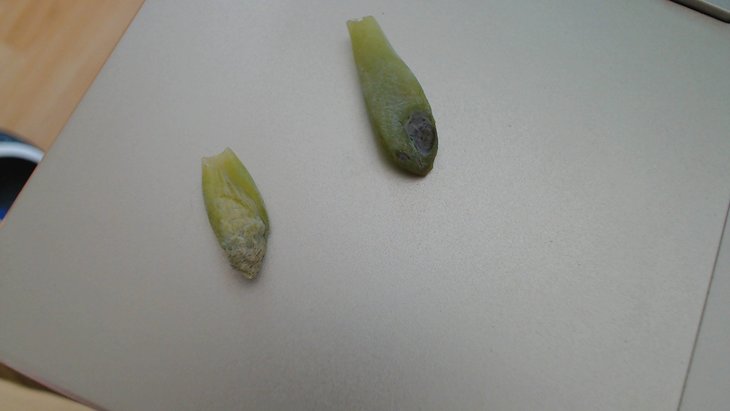 20160718 12-20-25.jpg