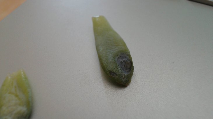 20160718 12-21-06.jpg