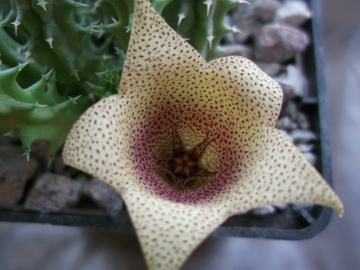 DSCF4714.JPG