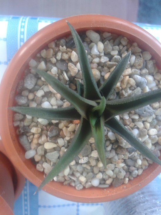 20160727_182537.jpg
