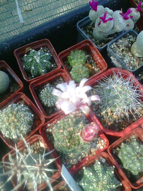 Photo0014.jpg