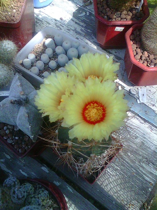 Photo0008.jpg