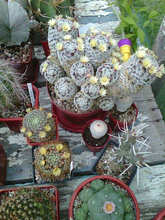 Photo0004.jpg