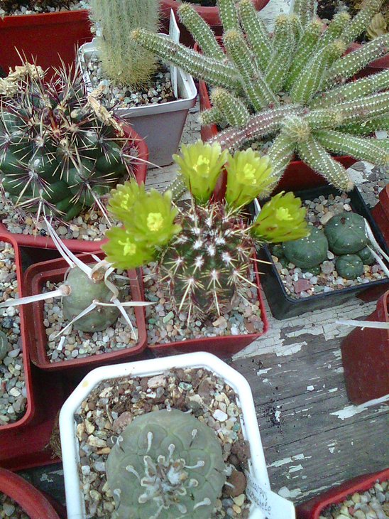 Photo0003.jpg