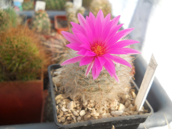 DSCN5441.JPG