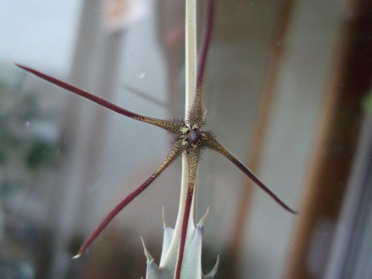DSCF4786.JPG