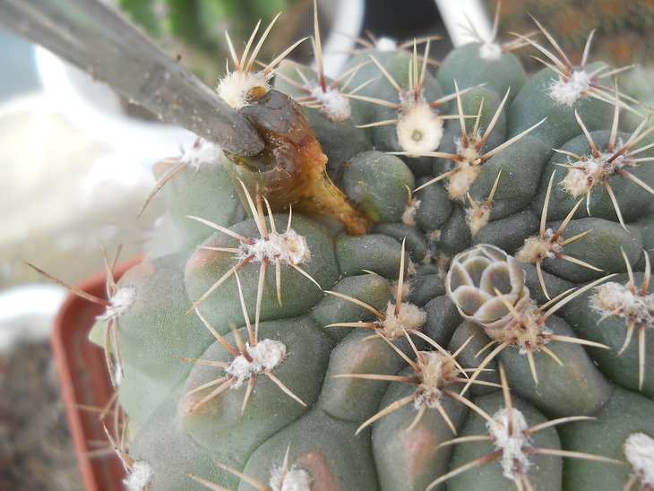 DSCN5598.JPG