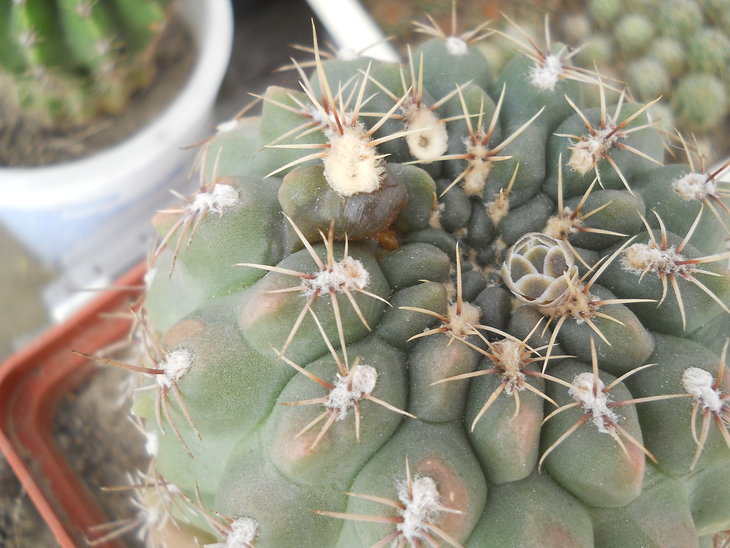 DSCN5597.JPG