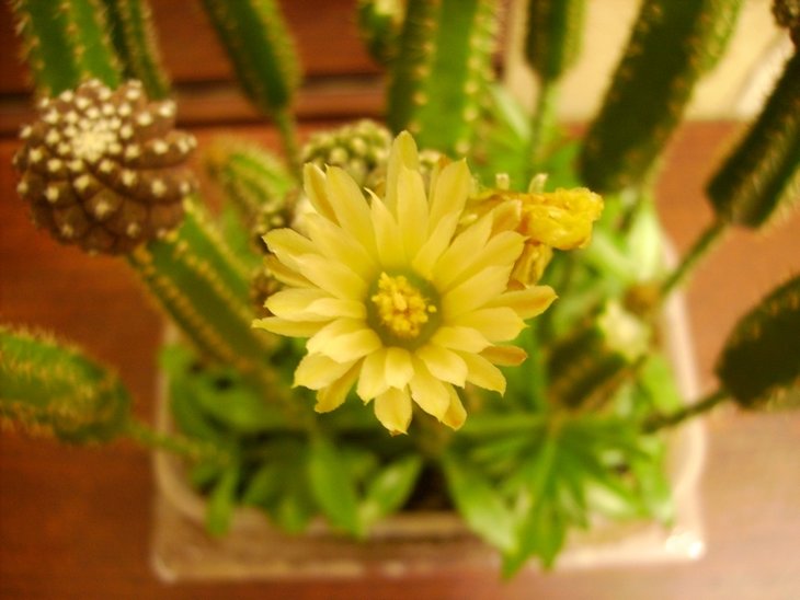 PICT0081.JPG