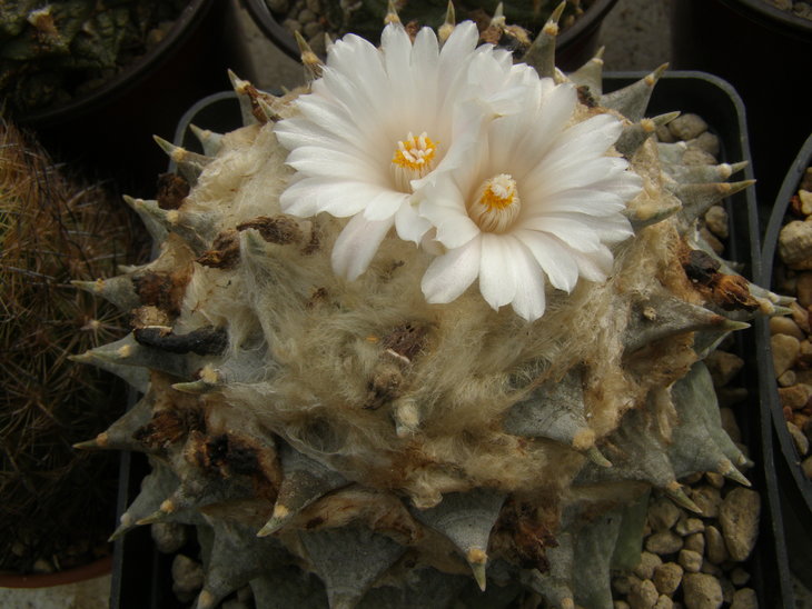 PA010006.JPG