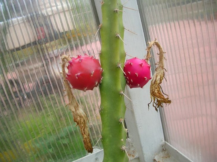 DSCN6595.JPG