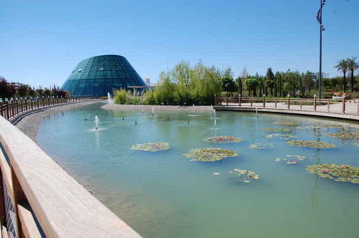 DSC_6369_новый размер.JPG