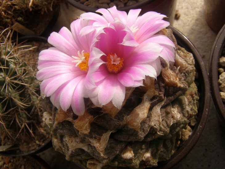 PA030013.JPG