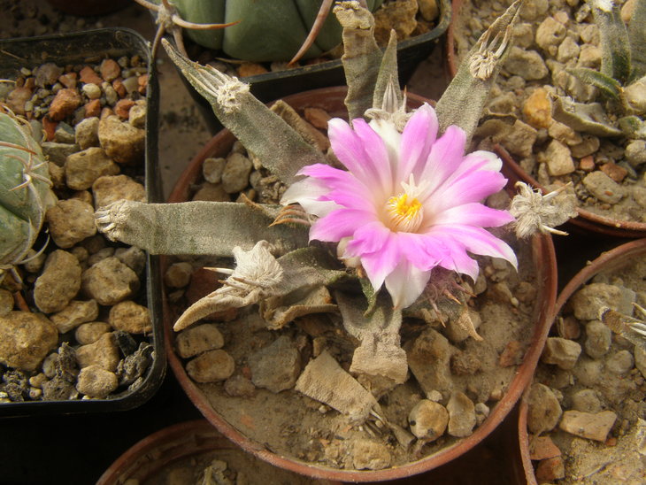 PA030018.JPG