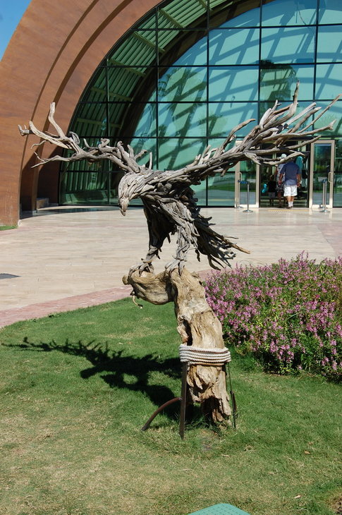 DSC_6444_новый размер.JPG