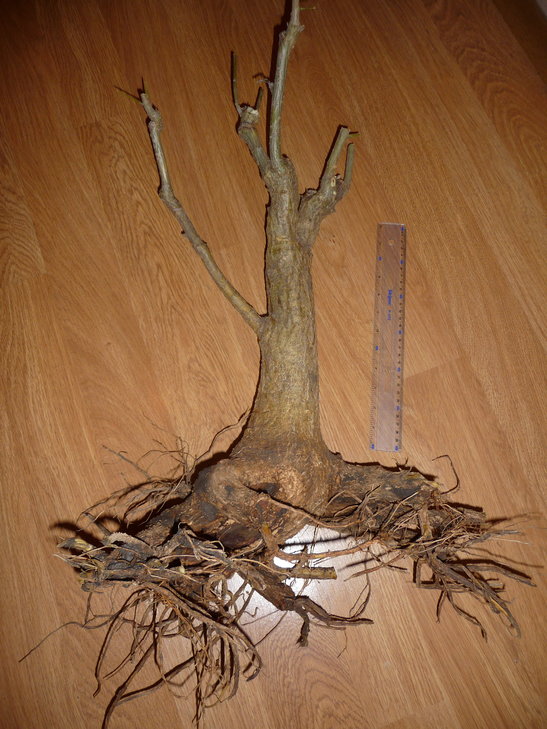 P1220066_900.JPG