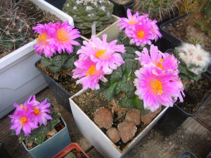 DSCN6756.JPG