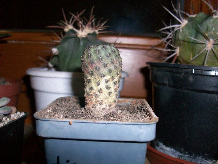 100_8202.JPG