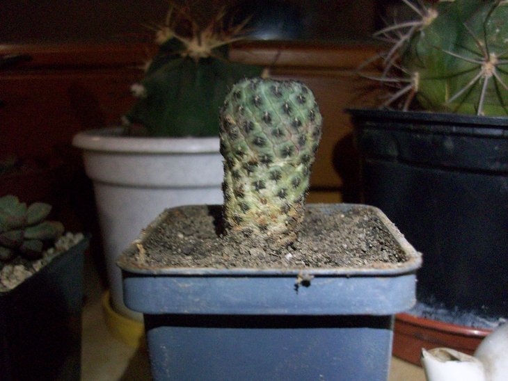 100_8207.JPG