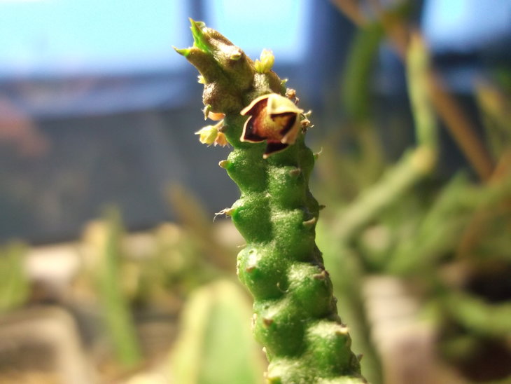 DSCF4893.JPG