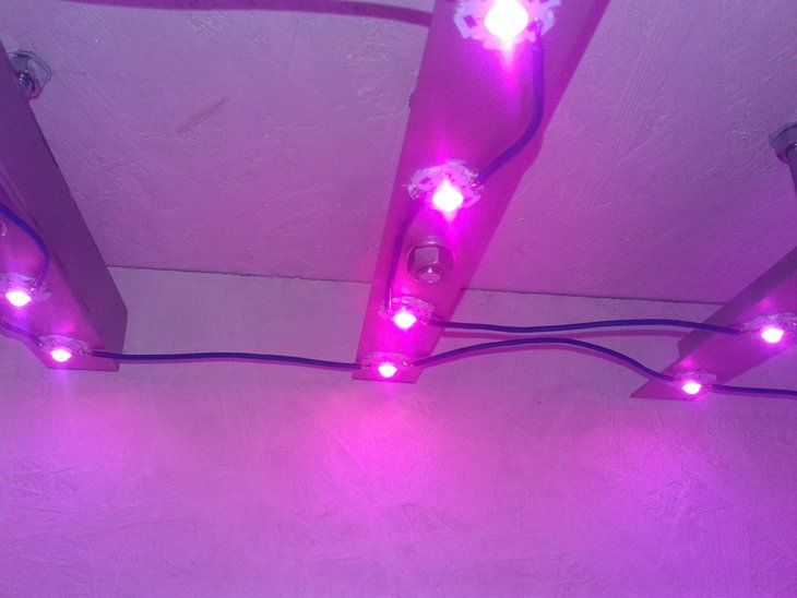 20161130_220532.jpg