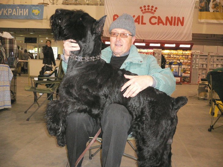 Riezenschnauzer
