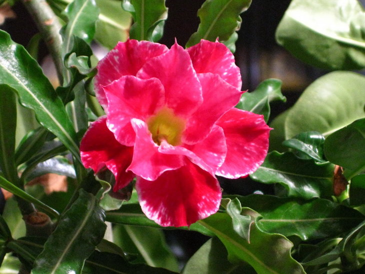 0 IMG_0725.jpg