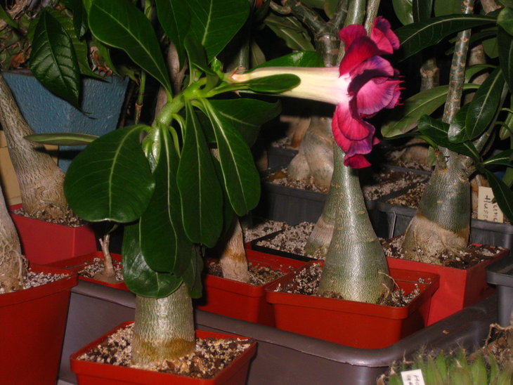 0 IMG_0180.jpg