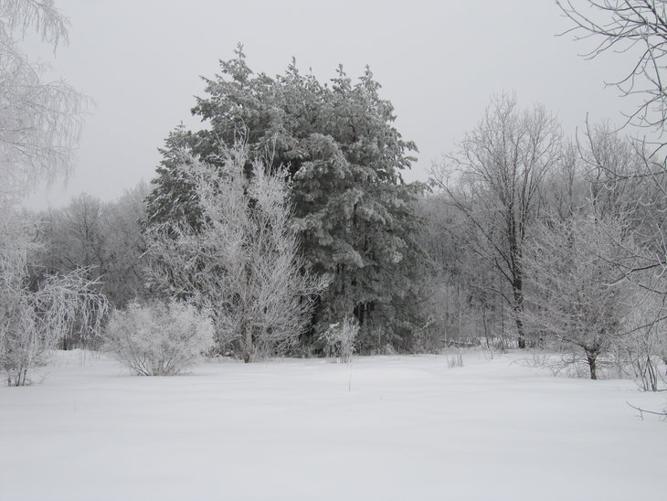 IMG_5763.JPG