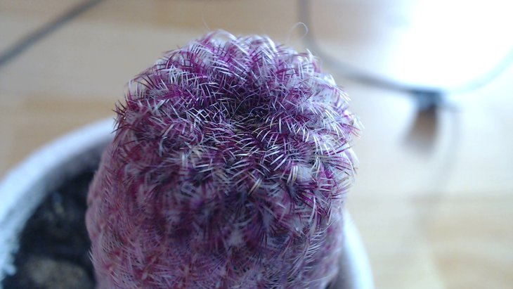 20170122 13-07-36.jpg