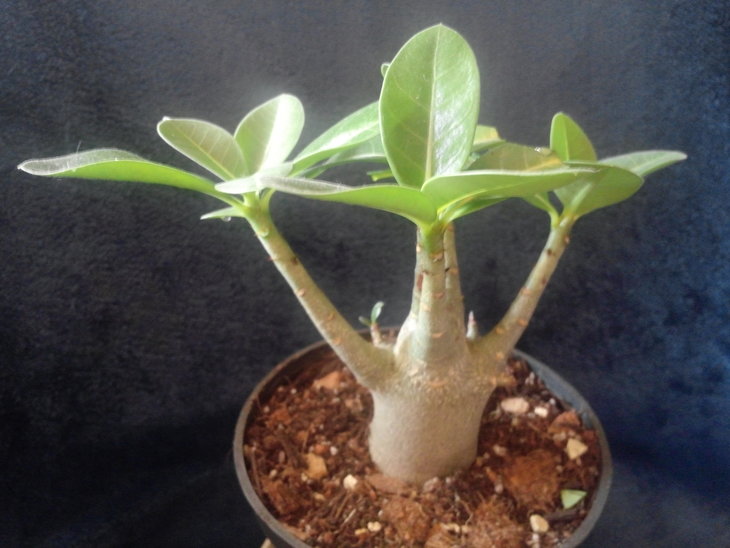 CAM01108.jpg