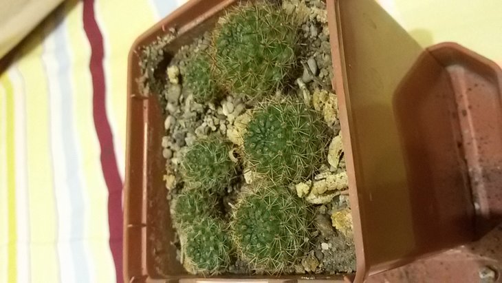 20170127_203159.jpg