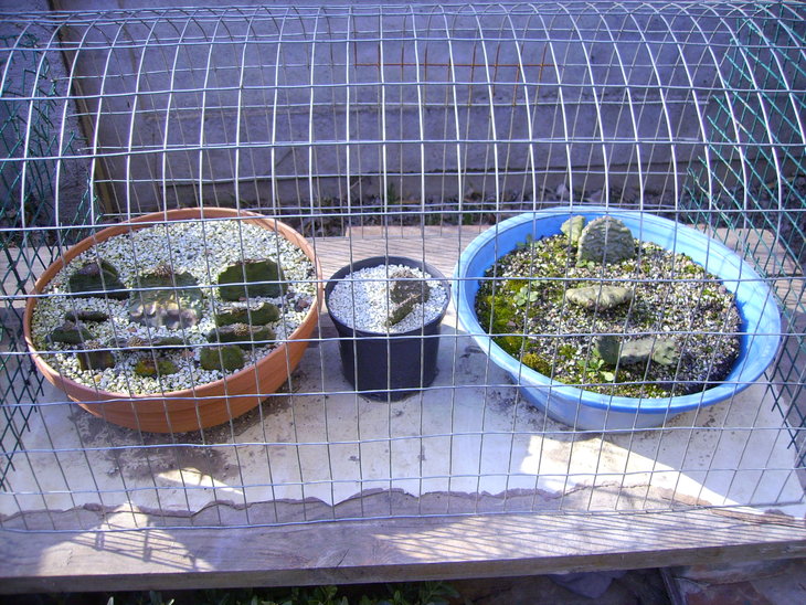 PICT0104.JPG