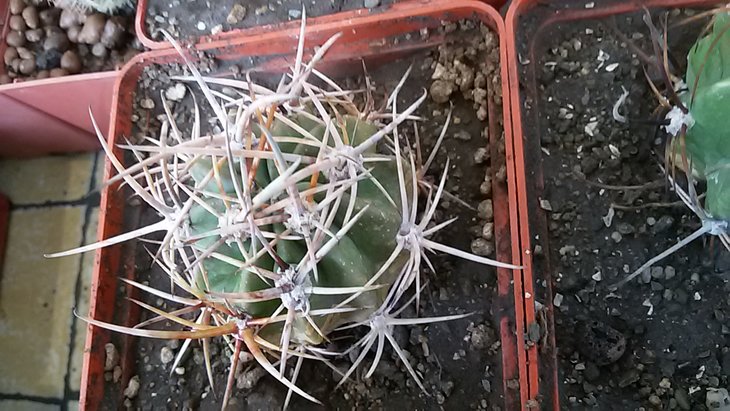 20170321_161919.jpg