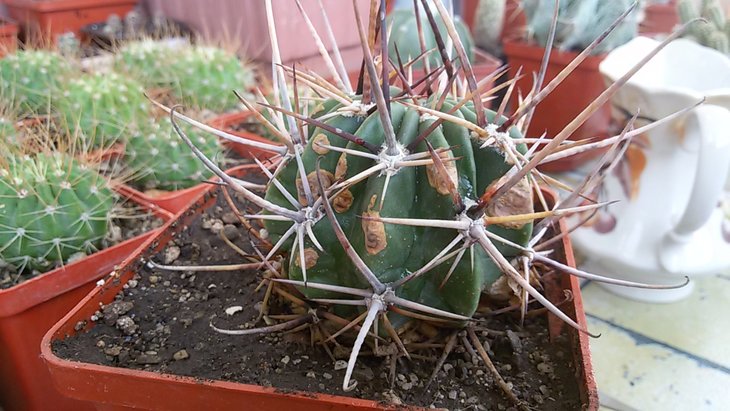 20170321_161838.jpg