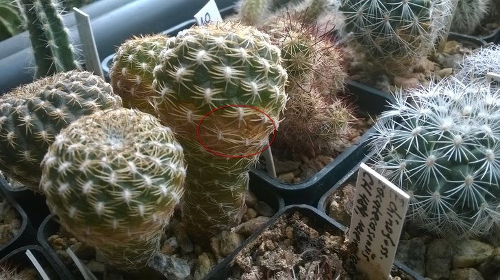 WP_20170410_002.jpg