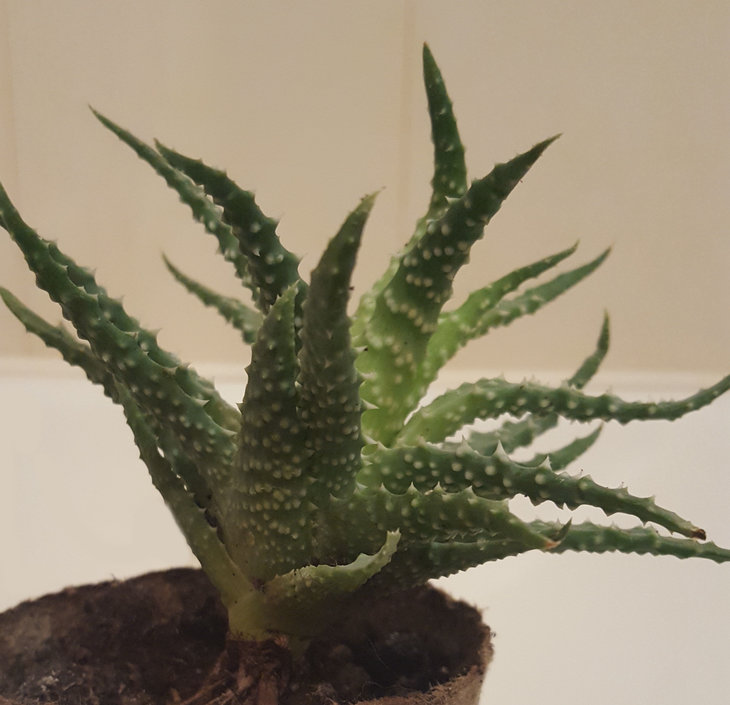 20170515_000841.jpg