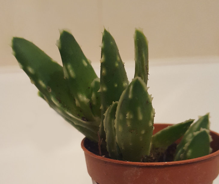20170515_000735.jpg