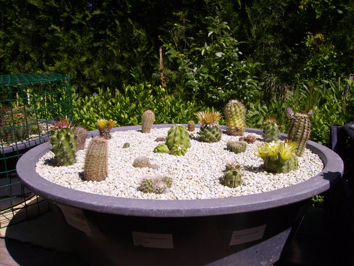 PICT0289.JPG