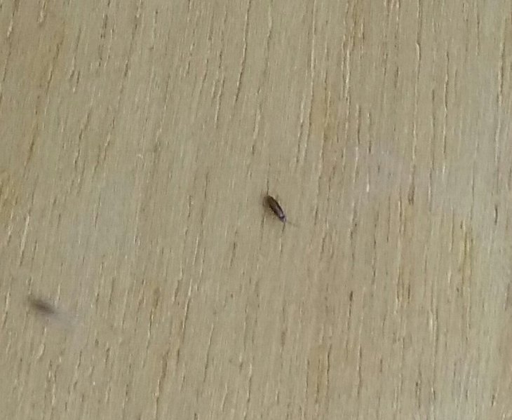 IMG_20170601_174906.jpg