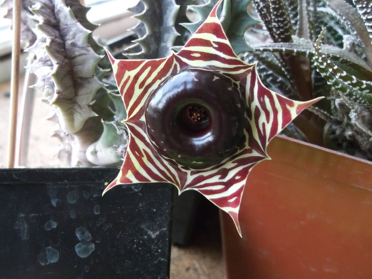 DSCF5050.JPG