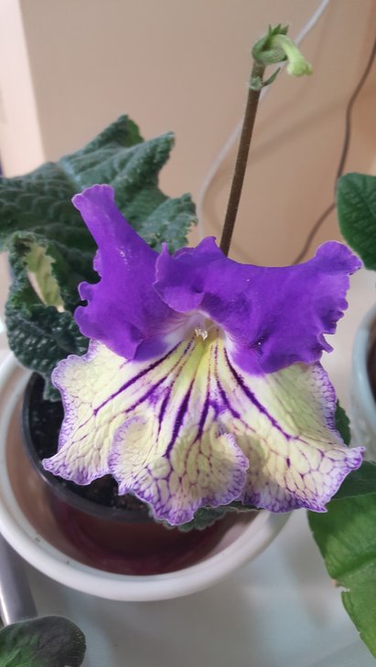 20170520_130147.jpg