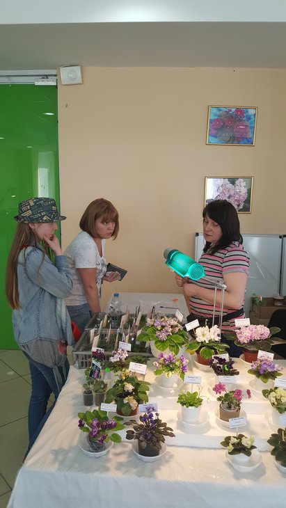 20170520_150817.jpg