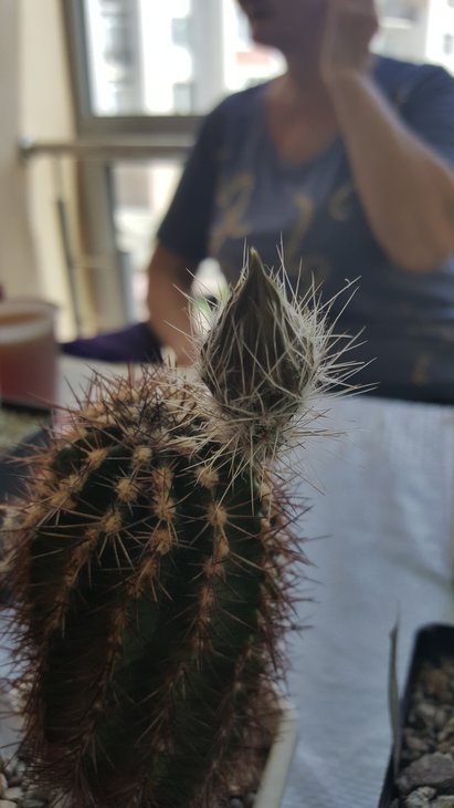 20170520_151314.jpg