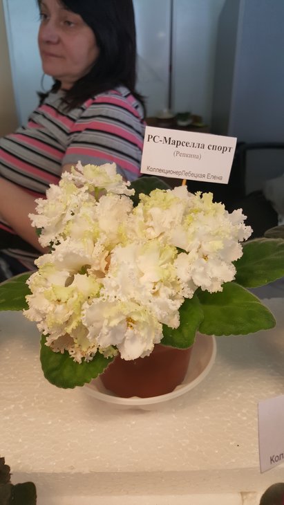 20170520_153017.jpg