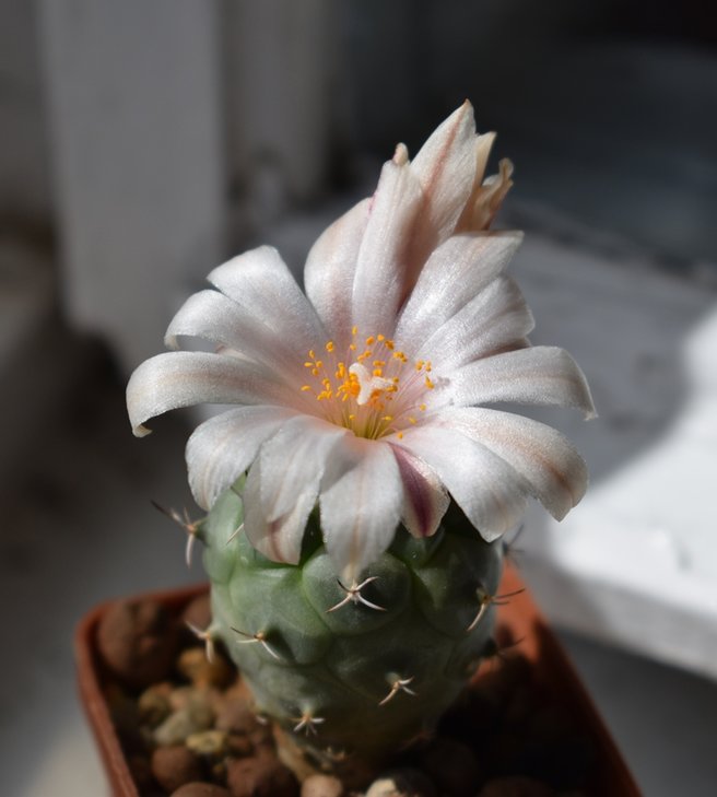 DSC_0191.JPG
