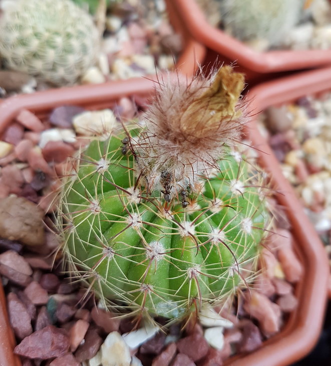 20170617_184224_1.jpg