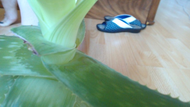 20170623 11-02-10.jpg