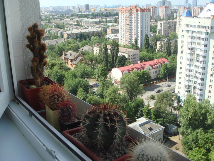 Кто будет солнцелюбивым, время покажет.
