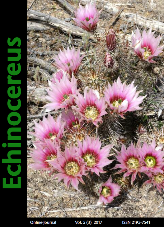 Echinocereus.png